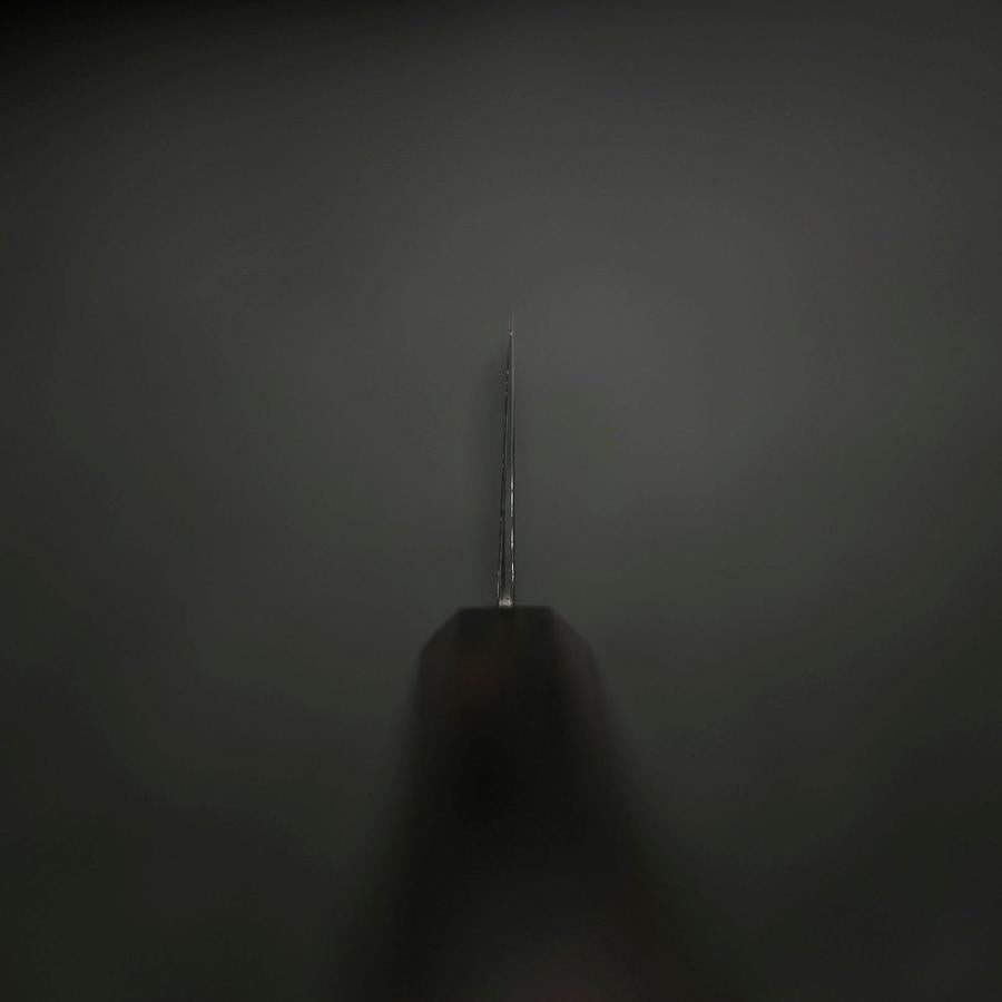 Kiritsuke SG-2 Black Nickel Damascus Ebony Handle 240mm