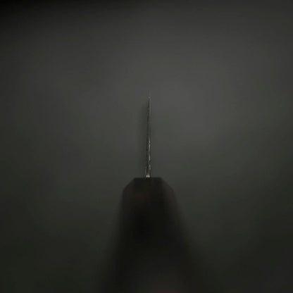 Kiritsuke SG-2 Black Nickel Damascus Ebony Handle 240mm