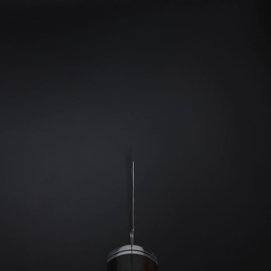 Kiritsuke SG-2 Black Nickel Damascus Western Ebony Handle 210mm