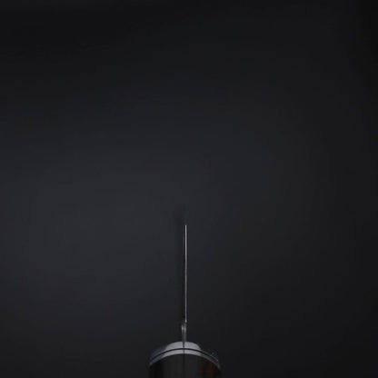 Kiritsuke SG-2 Black Nickel Damascus Western Ebony Handle 210mm