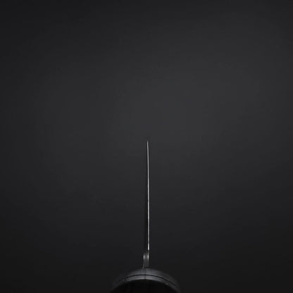 Kiritsuke SG-2 Black Nickel Damascus Western Ebony Handle 240mm