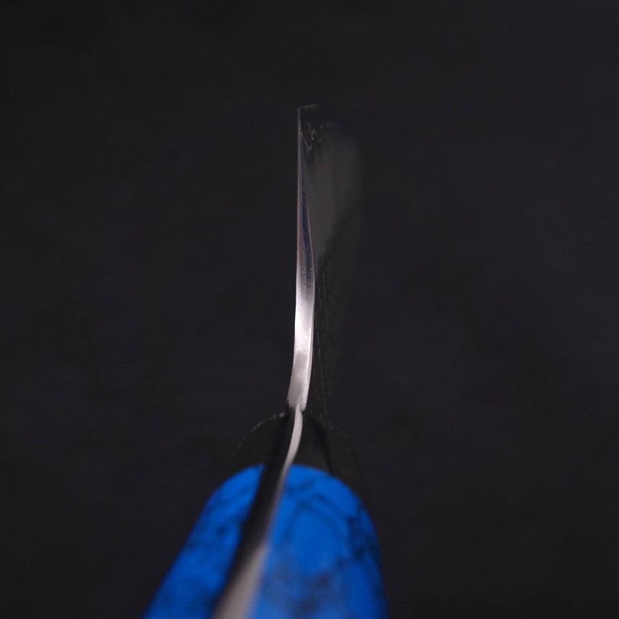 Kiritsuke SG-2 Tsuchime Turquoise Blue Handle 200mm