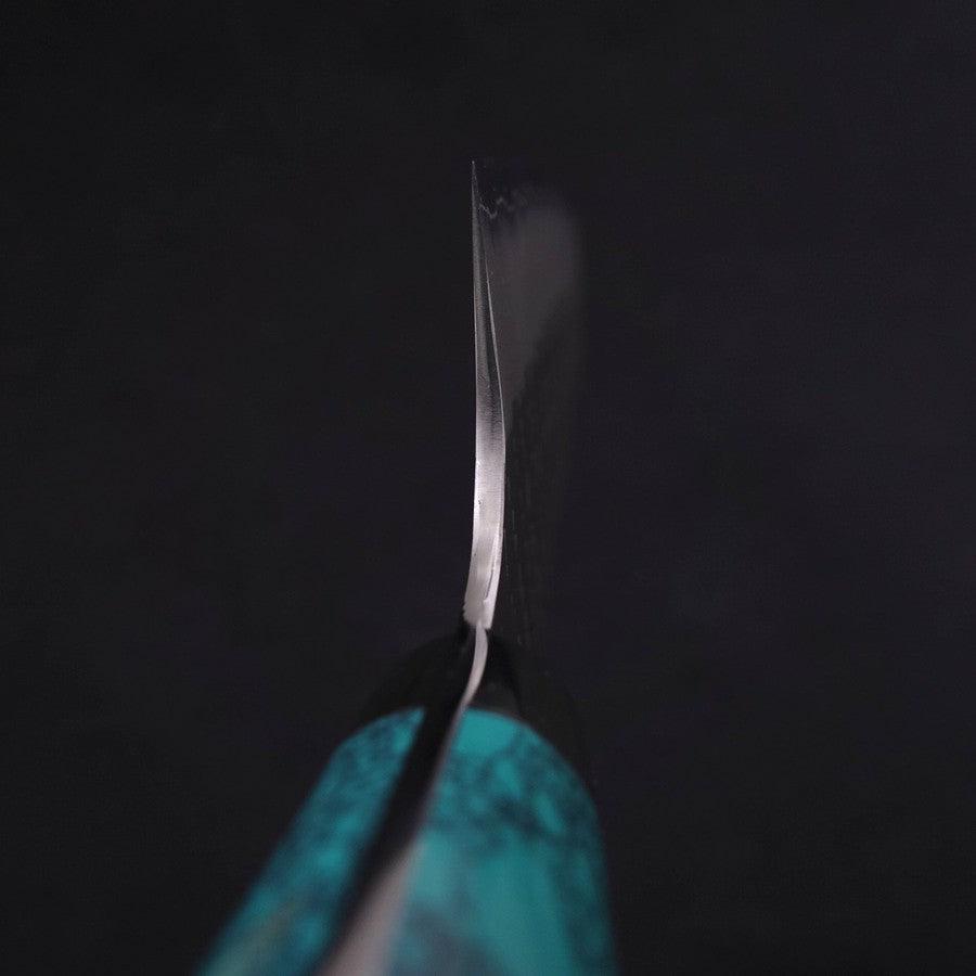 Kiritsuke SG-2 Tsuchime Turquoise Green Handle 200mm