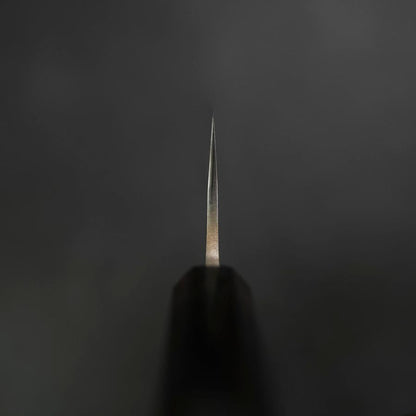 Kiritsuke SKD11 Nashiji Ebony Handle 210mm