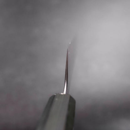 Kiritsuke SLD Polished Green Urushi Handle 210mm