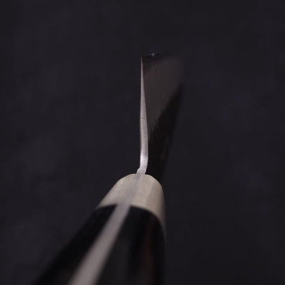 Kiritsuke Stainless Clad Blue Super Kurouchi Tsuchime Western Handle 210mm