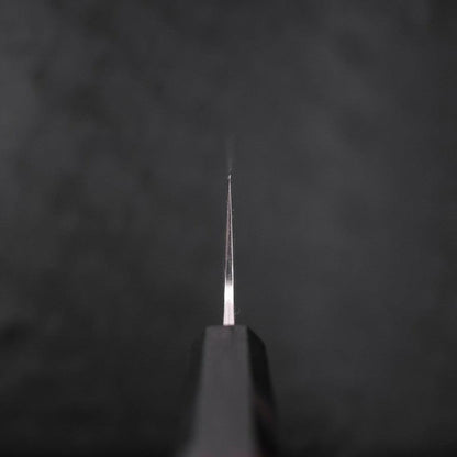 Kiritsuke VG-10 Damascus Buffalo Ebony Handle 210mm