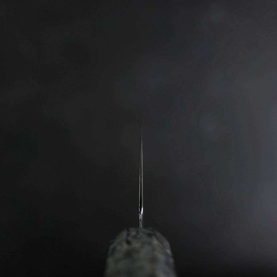 Kiritsuke VG-10 Damascus Gray Birch Handle 210mm