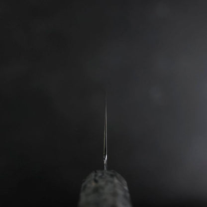 Kiritsuke VG-10 Damascus Gray Birch Handle 210mm