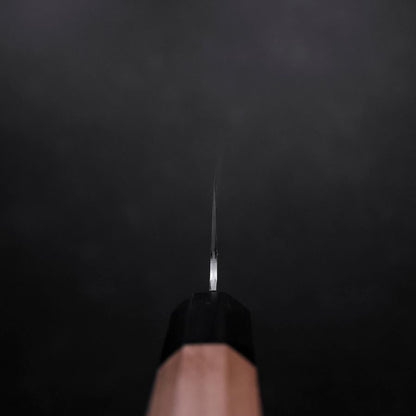 Kiritsuke VG-10 Polished Cherry Handle 210mm