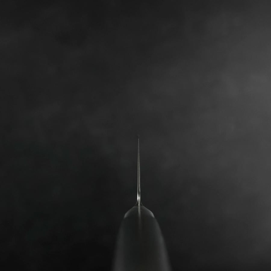 Kiritsuke VG-5 Polished Western Stainless Handle 195mm