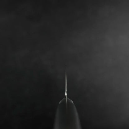 Kiritsuke VG-5 Polished Western Stainless Handle 195mm