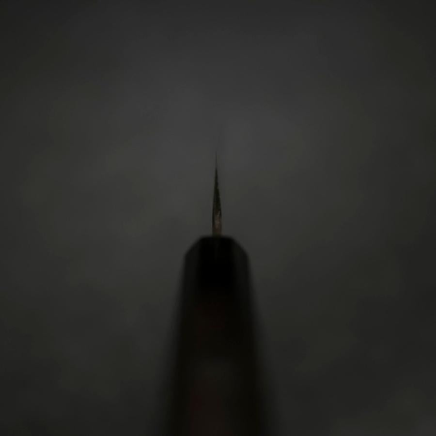 Koyanagi White Steel #2 Kasumi Chokin Luck Cloud Buffalo Ebony Handle 135mm