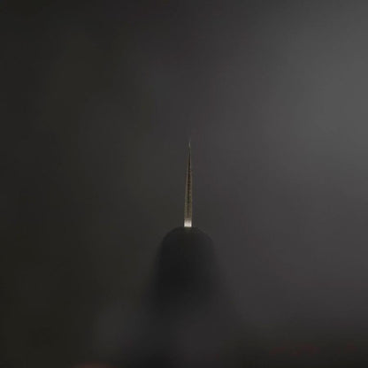 Nakiri Blue Steel #2 Polished Stainless Clad Western Handle 160mm