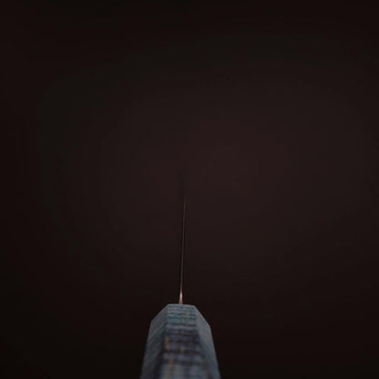 Nakiri SLD Mirror Coral Shore Handle 170mm