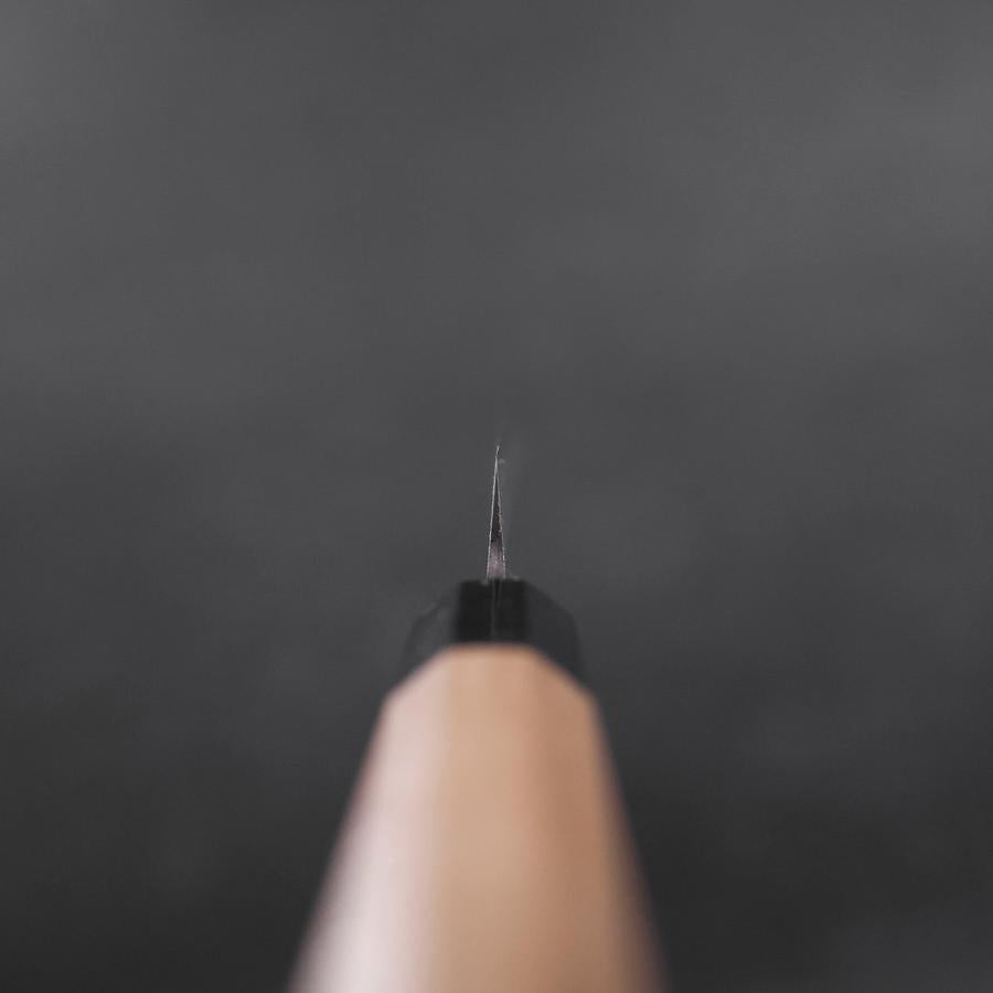 Petty Blue Steel #1 Stainless Clad Polished Buffalo Magnolia Handle 150mm