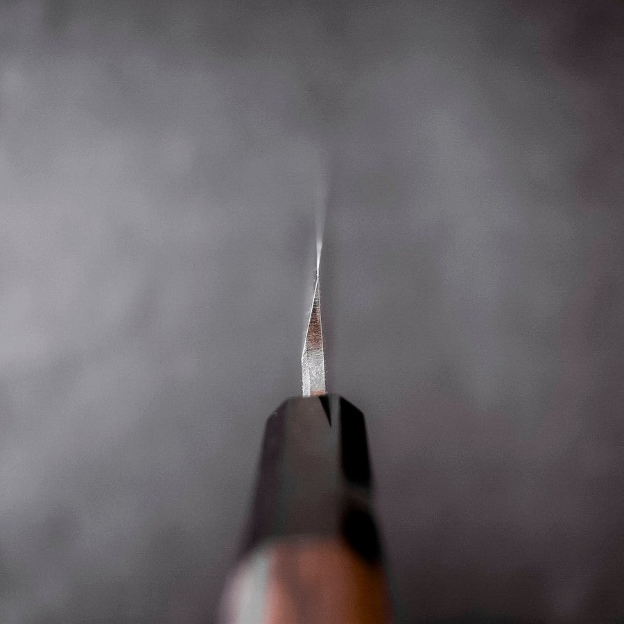 Sakimaru Takohiki Blue Steel #2 Kurouchi Buffalo Wenge Handle 270mm