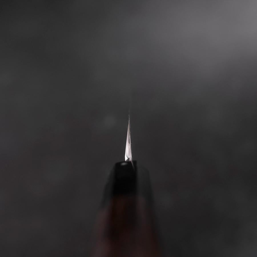 Sakimaru Takohiki VG-10 Mirror Buffalo Ebony Handle 300mm