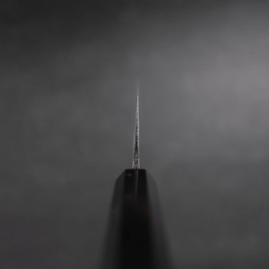 Santoku Blue Steel #2 Damascus Buffalo Ebony Handle 165mm