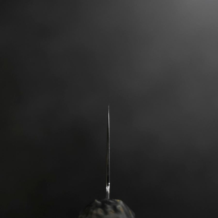 Santoku VG-10 Damascus Gray Birch Handle 180mm