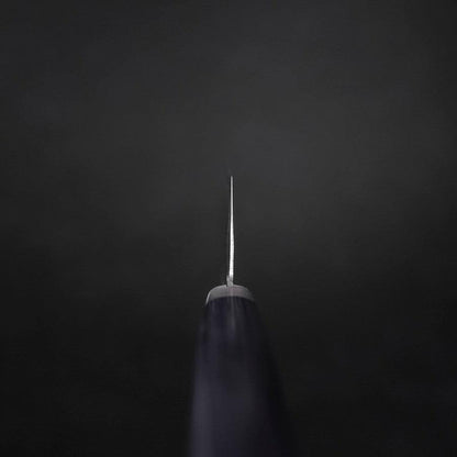 Santoku VG-10 Tsuchime Damascus Western Blue Handle 170mm