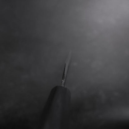 Sujihiki Blue Steel #2 Kurouchi Dark Blue Urushi Handle 210mm