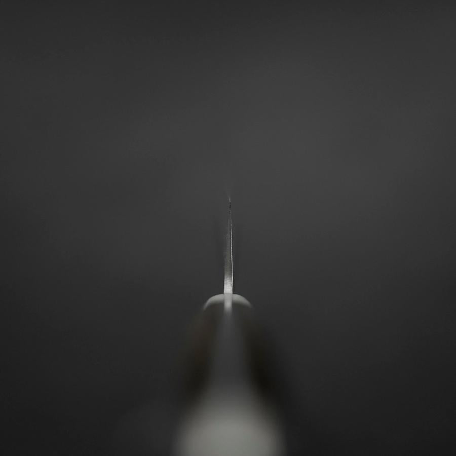 Sujihiki Stainless Clad Blue Super Kurouchi Tsuchime Western Brown Handle 240mm