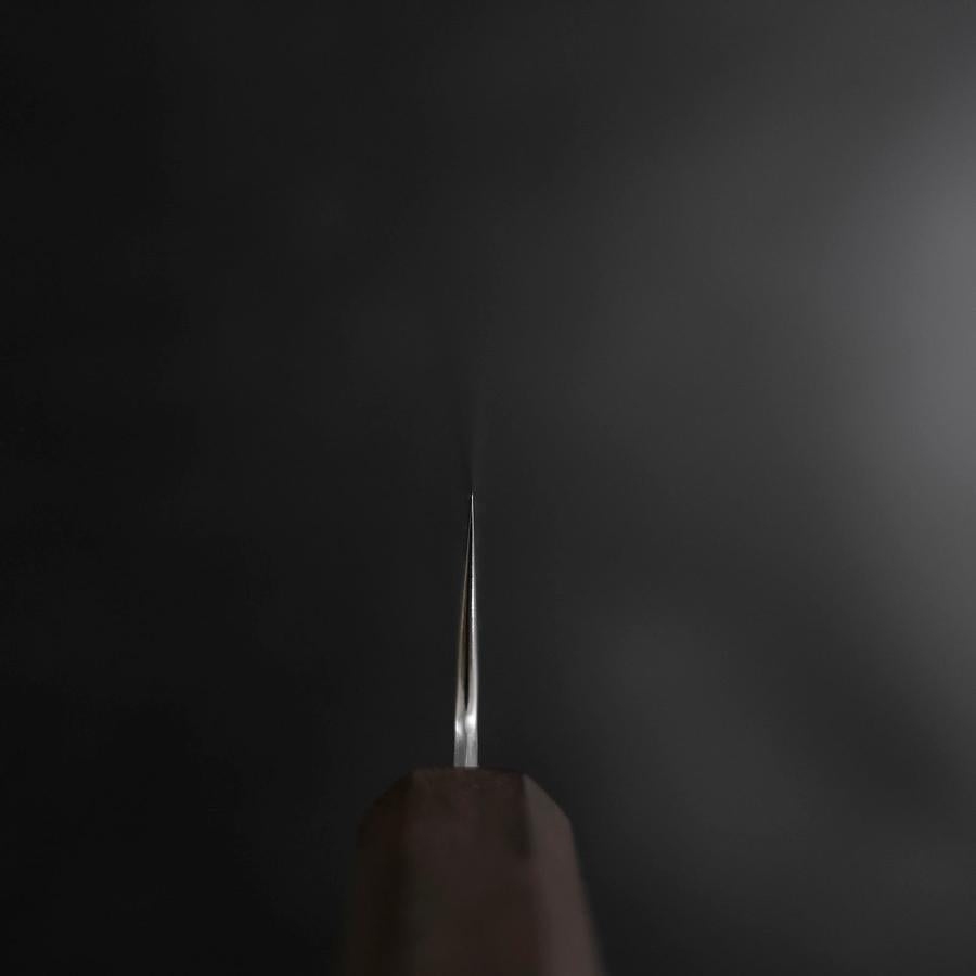 Sujihiki VG-10 Tsuchime Damascus Ashwood Handle 270mm