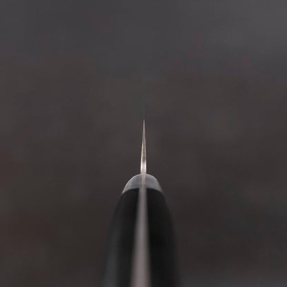 Sujihiki VG-10 Tsuchime Damascus Black Western Handle 245mm