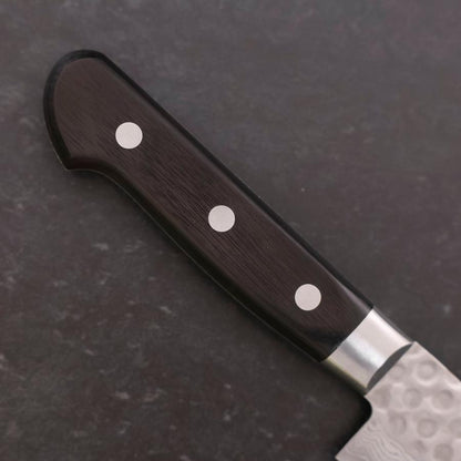 Sujihiki VG-10 Tsuchime Damascus Black Western Handle 245mm