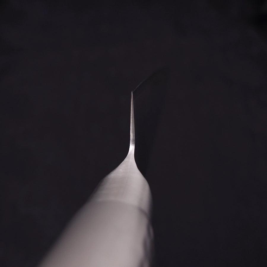 Sujihiki VG-5 Polished Western Handle 210mm