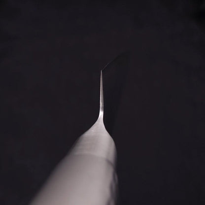 Sujihiki VG-5 Polished Western Handle 210mm