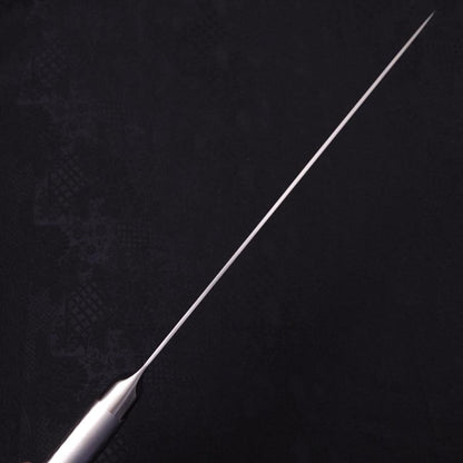 Sujihiki VG-5 Polished Western Handle 210mm