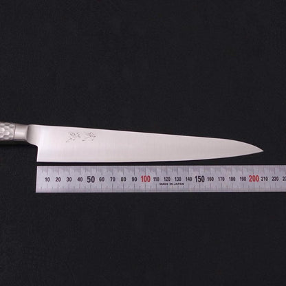 Sujihiki VG-5 Polished Western Handle 210mm