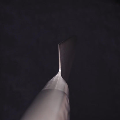 Sujihiki VG-5 Polished Western Handle 240mm