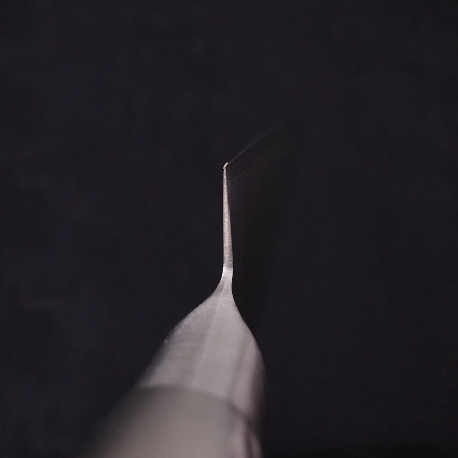 Sujihiki VG-5 Polished Western Handle 270mm