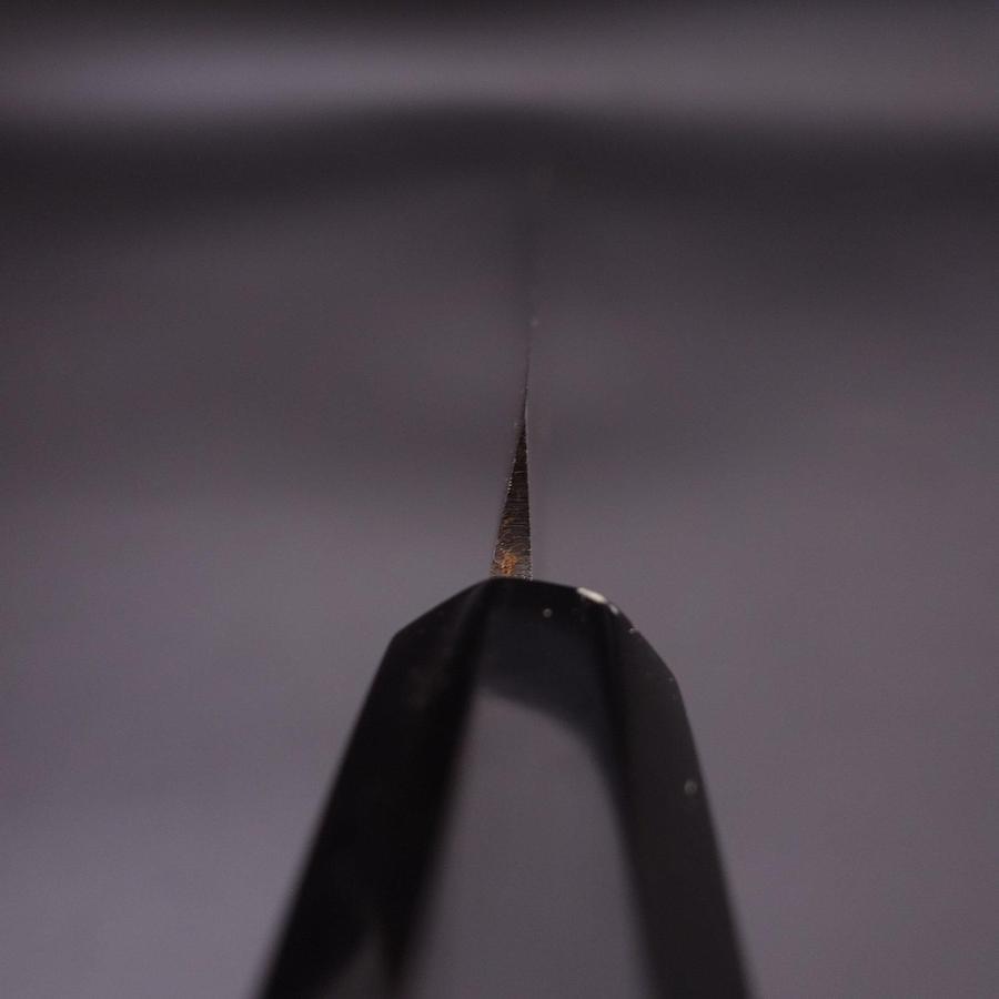 Takohiki Blue Steel #2 Kasumi Buffalo Magnolia Handle 270mm