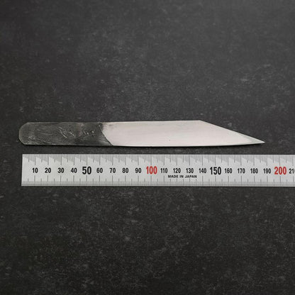 Unagisaki Eel Filleting Blue Steel #1