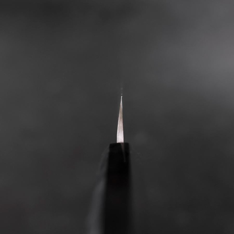 Yanagi Kiritsuke VG-10 Kasumi Buffalo Ebony Handle 250mm