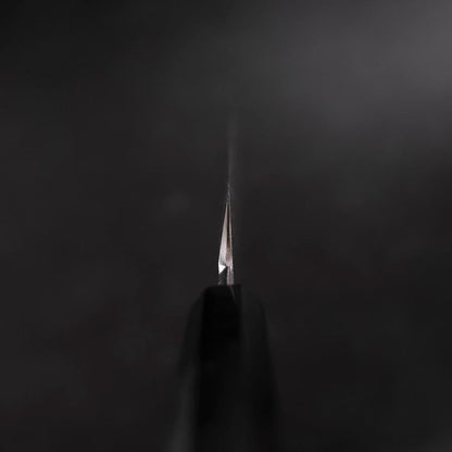 Yanagi Kiritsuke VG-10 Mirror Buffalo Ebony Handle 300mm