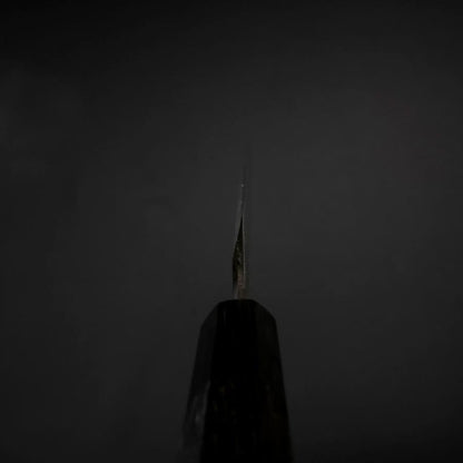 Yanagiba Blue Steel #2 Kurouchi Buffalo Ebony Handle 210mm