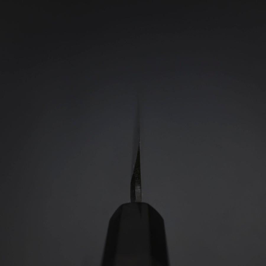 Yanagiba Blue Steel #2 Tsuchime Kurouchi Buffalo Ebony Handle 270mm