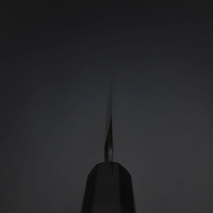 Yanagiba Blue Steel #2 Tsuchime Kurouchi Buffalo Ebony Handle 270mm