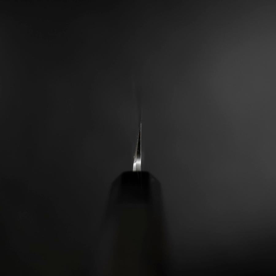 Yanagiba Blue Steel #1 Suminagashi Buffalo Ebony Handle With Sheath 270mm