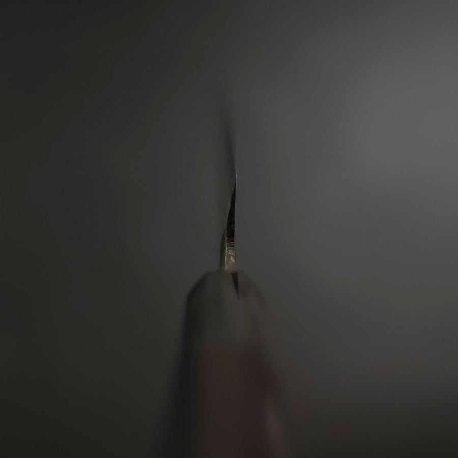 Yanagiba Blue Steel #2 Damascus Buffalo Ebony Handle 210mm