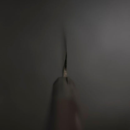 Yanagiba Blue Steel #2 Damascus Buffalo Ebony Handle 210mm