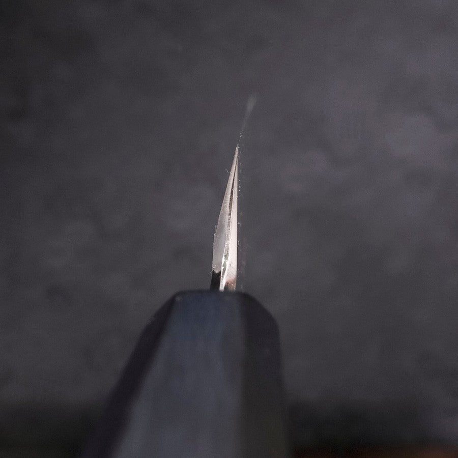 Yanagiba Blue Steel #2 Kasumi Dark-Blue Urushi Handle 270mm