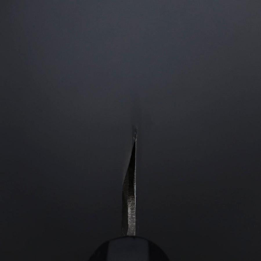 Yanagiba Blue Steel #2 Kurouchi Buffalo Ebony Handle 200mm