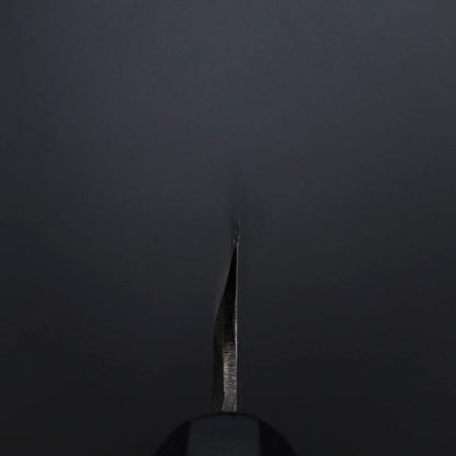 Yanagiba Blue Steel #2 Kurouchi Buffalo Ebony Handle 200mm