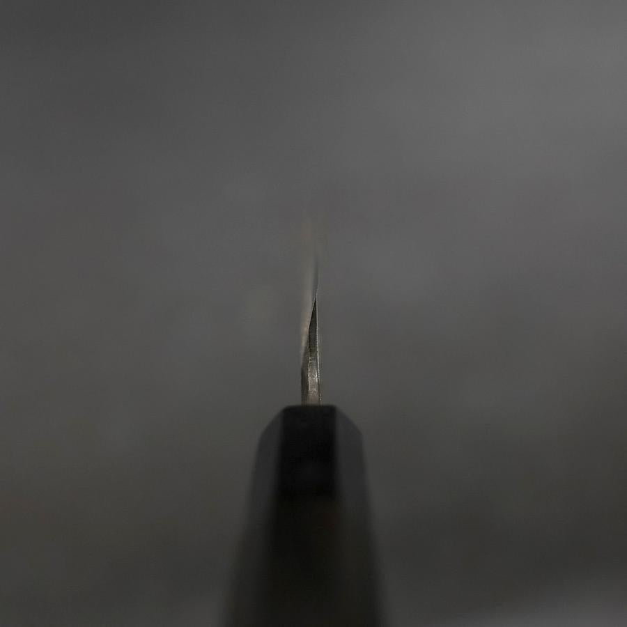 Yanagiba Blue Steel #2 Kurouchi Chokin Sakura-Fuji Buffalo Ebony Handle 210mm